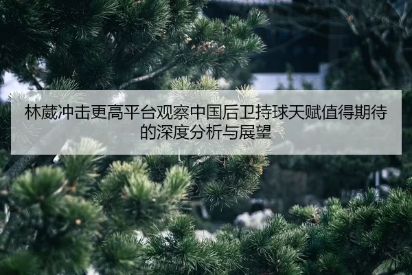 lin-wei-chong-ji-geng-gao-ping-tai-guan-cha-zhong-guo-hou-wei-chi-qiu-tian-fu-zhi-de-qi-dai-de-shen-du-fen-xi-yu-zhan-2-161.jpg
