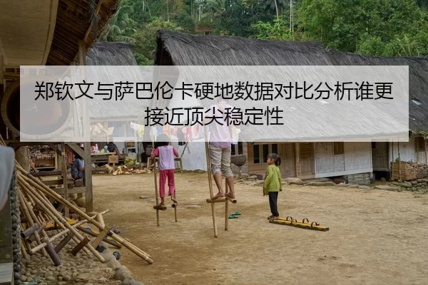 郑钦文与萨巴伦卡硬地数据对比分析谁更接近顶尖稳定性